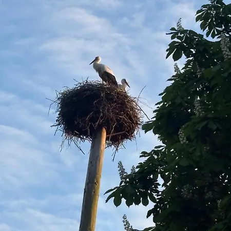 Am Storchennest Lejlighed *